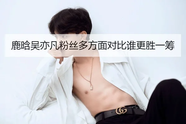 鹿晗吴亦凡粉丝多方面对比谁更胜一筹